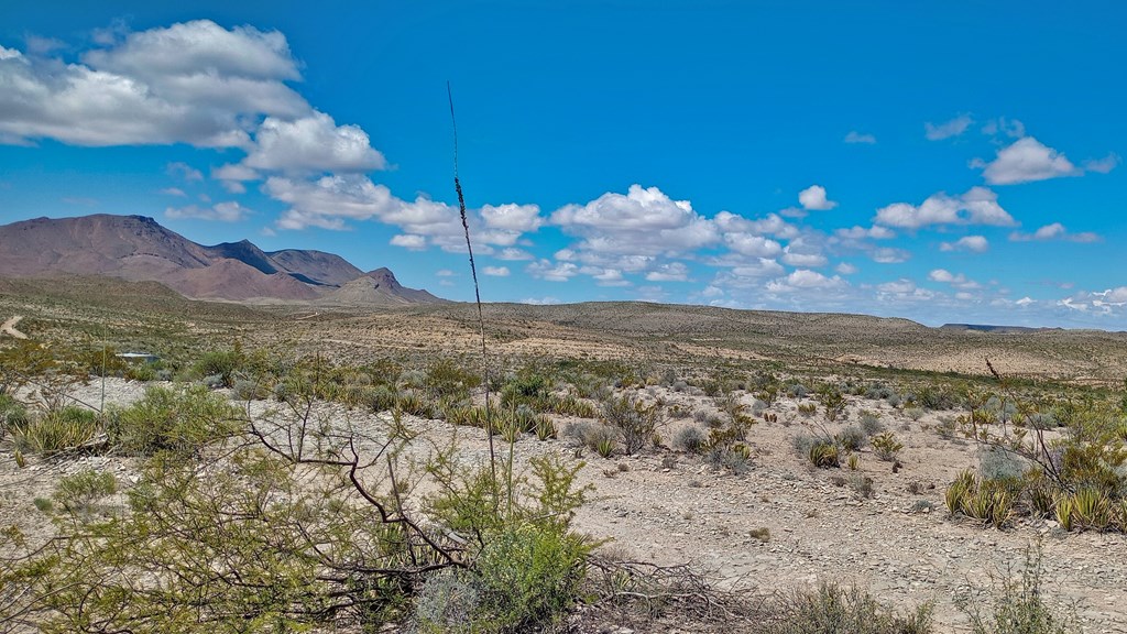 Cedar Springs Road, Terlingua, New York image 7