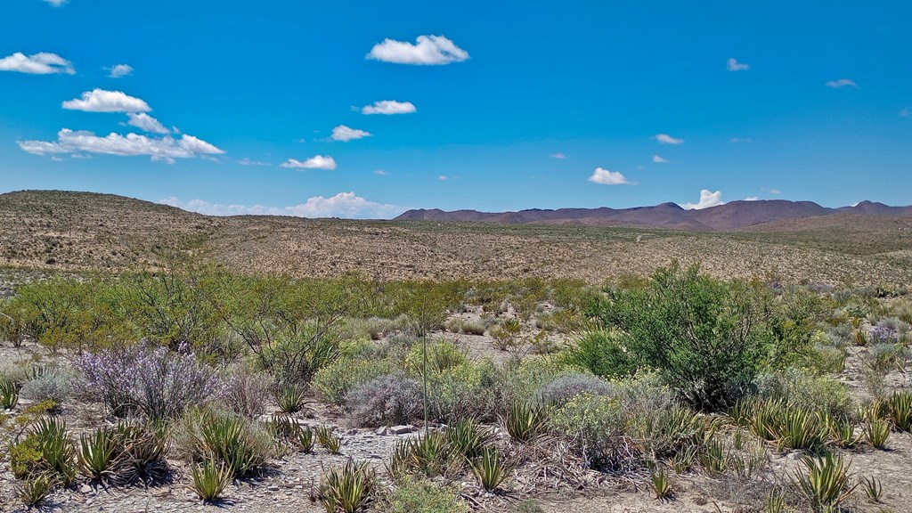 Cedar Springs Road, Terlingua, New York image 5