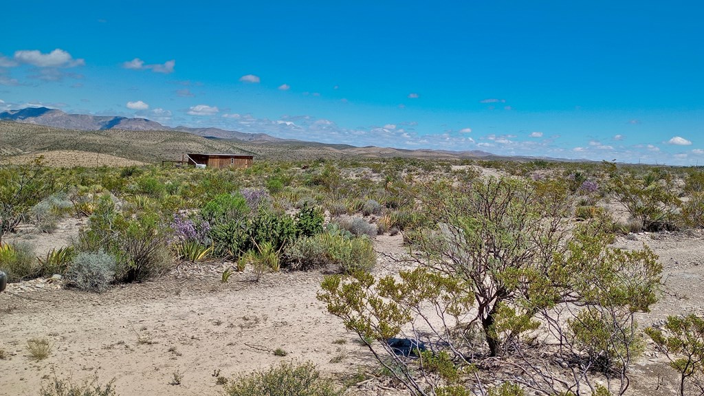 Cedar Springs Road, Terlingua, New York image 2