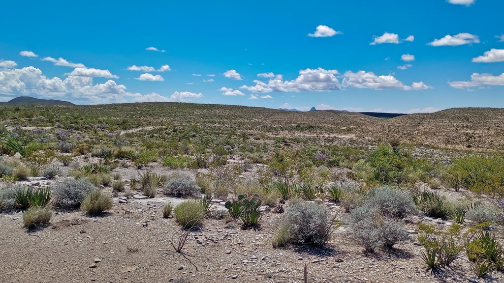 Cedar Springs Road, Terlingua, New York image 4