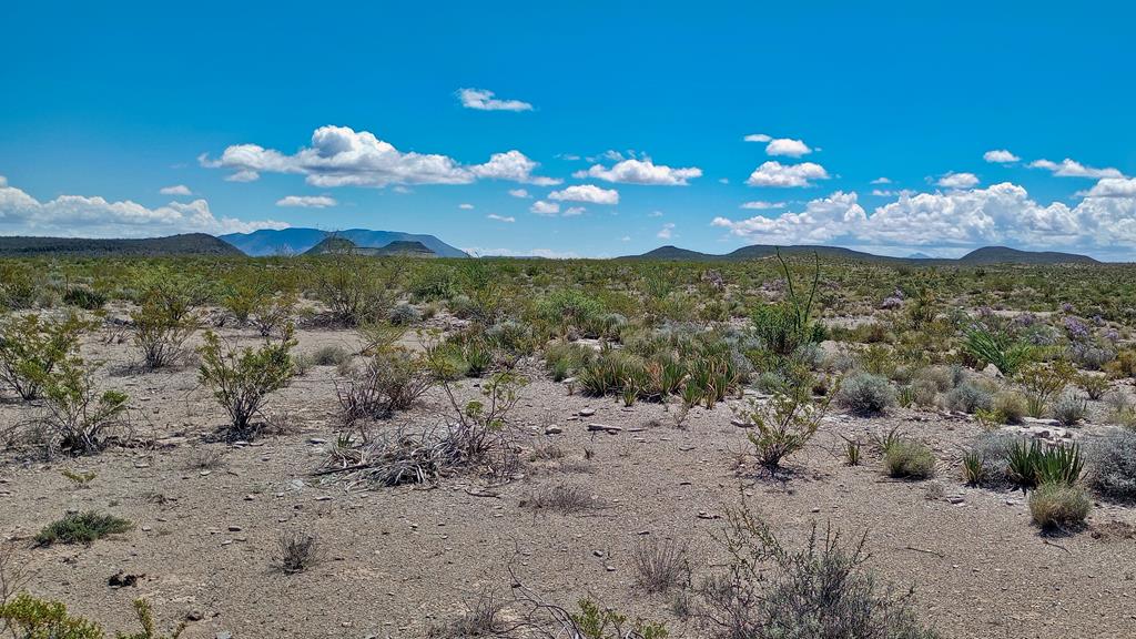 Cedar Springs Road, Terlingua, New York image 1