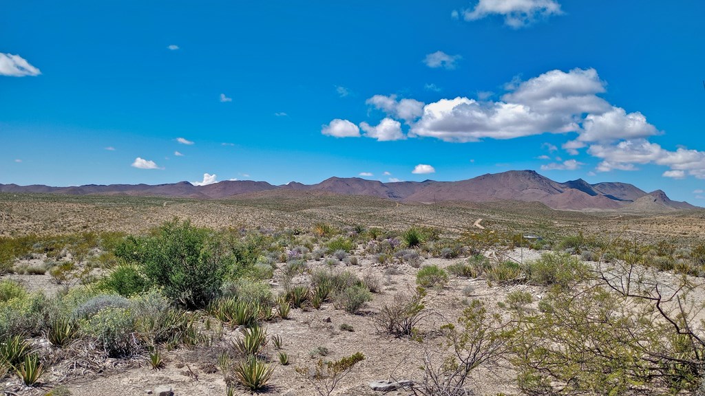 Cedar Springs Road, Terlingua, New York image 6
