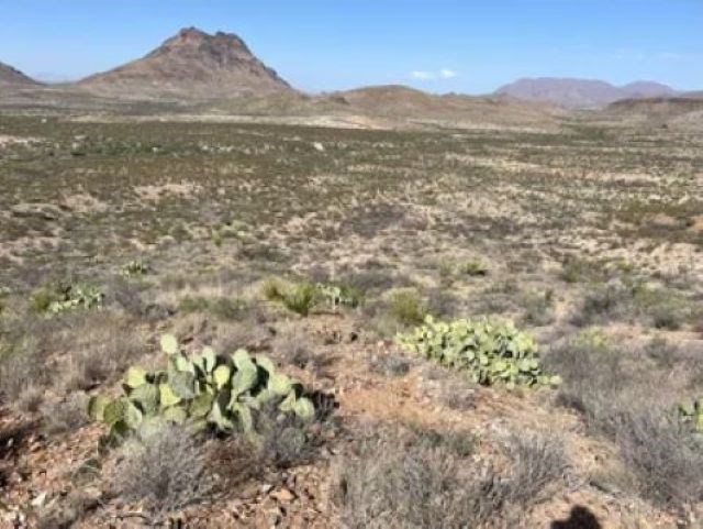 27236 Lake Ament Rd, Terlingua, Texas image 17