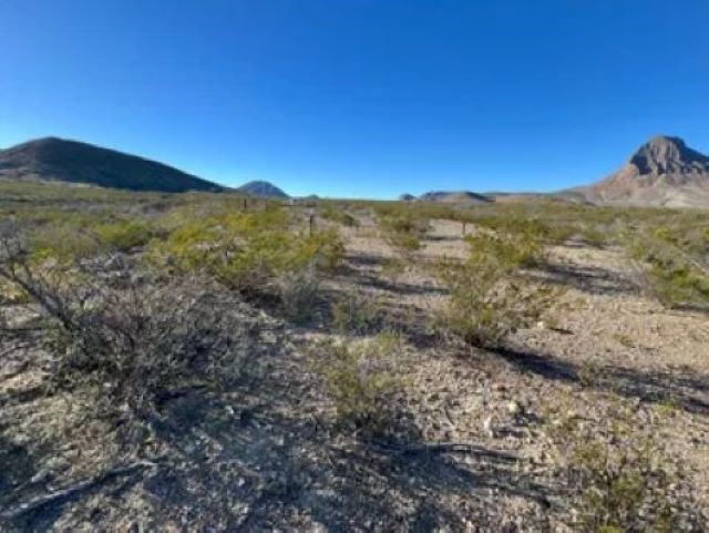 27236 Lake Ament Rd, Terlingua, Texas image 13