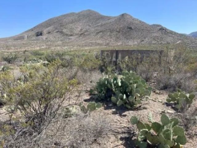 27236 Lake Ament Rd, Terlingua, Texas image 15