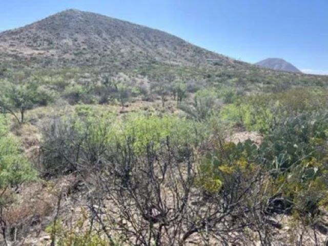 27236 Lake Ament Rd, Terlingua, Texas image 16