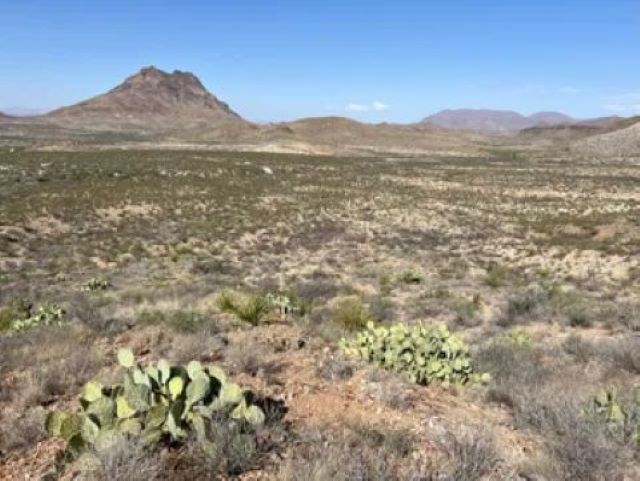 27236 Lake Ament Rd, Terlingua, Texas image 9