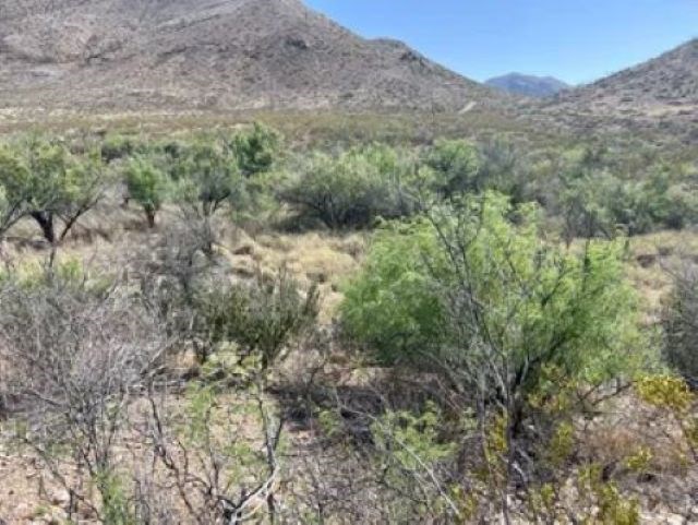 27236 Lake Ament Rd, Terlingua, Texas image 23