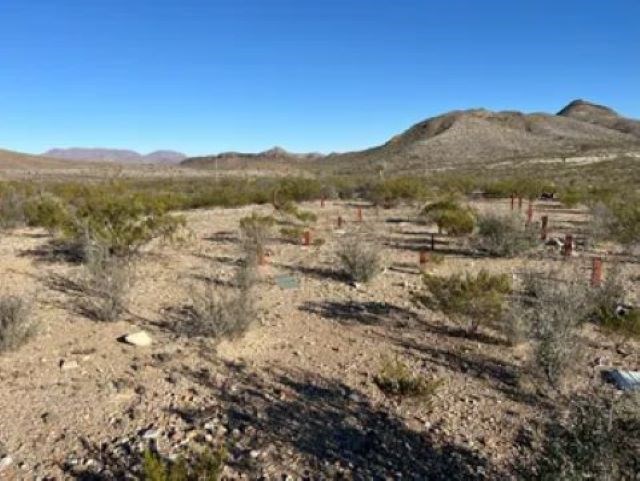 27236 Lake Ament Rd, Terlingua, Texas image 18