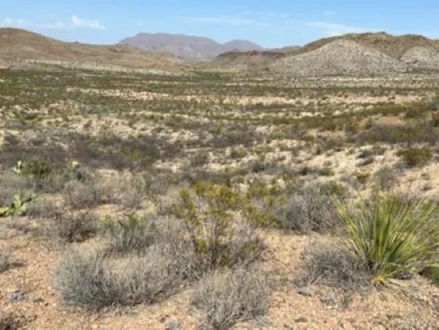 27236 Lake Ament Rd, Terlingua, Texas image 8