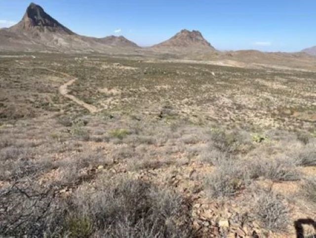 27236 Lake Ament Rd, Terlingua, Texas image 7