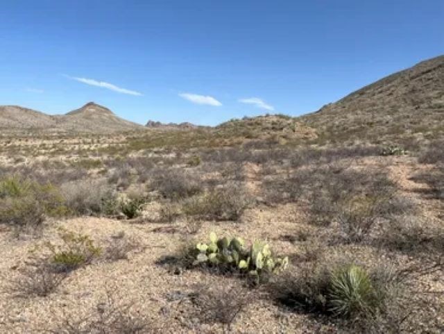 27236 Lake Ament Rd, Terlingua, Texas image 3