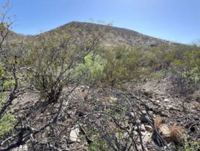 27236 Lake Ament Rd, Terlingua, Texas image 11