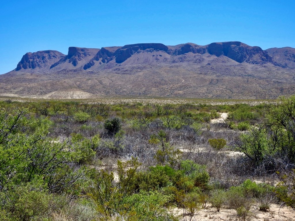 4803 Rattlesnake Rd, Terlingua, Texas image 17