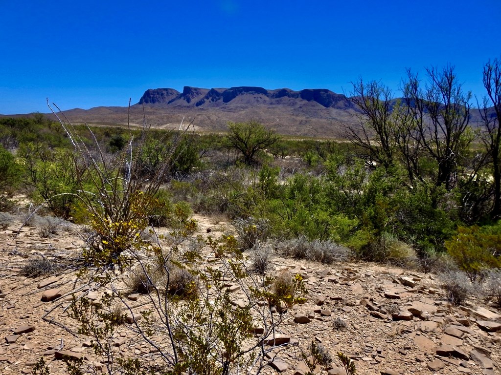 4803 Rattlesnake Rd, Terlingua, Texas image 20