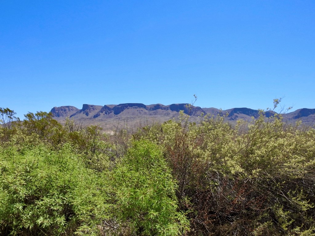 4803 Rattlesnake Rd, Terlingua, Texas image 8