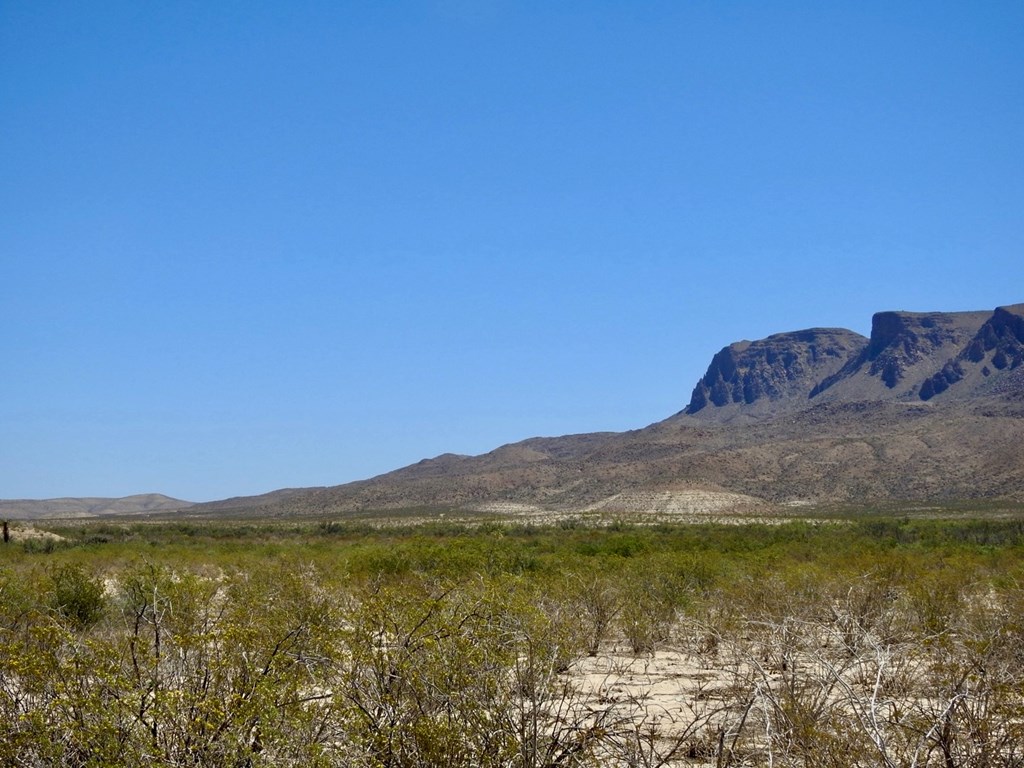 4803 Rattlesnake Rd, Terlingua, Texas image 22