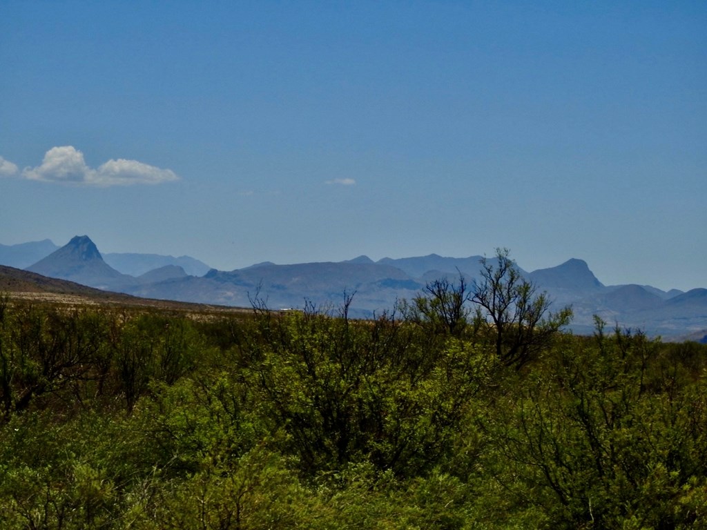 4803 Rattlesnake Rd, Terlingua, Texas image 4