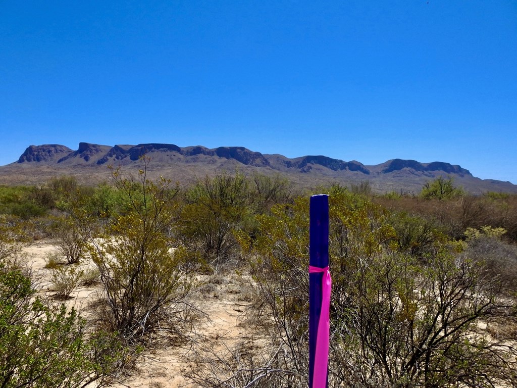 4803 Rattlesnake Rd, Terlingua, Texas image 14