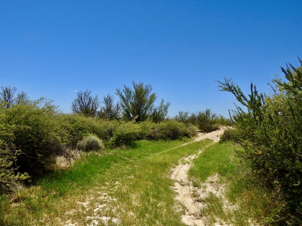 4803 Rattlesnake Rd, Terlingua, Texas image 9