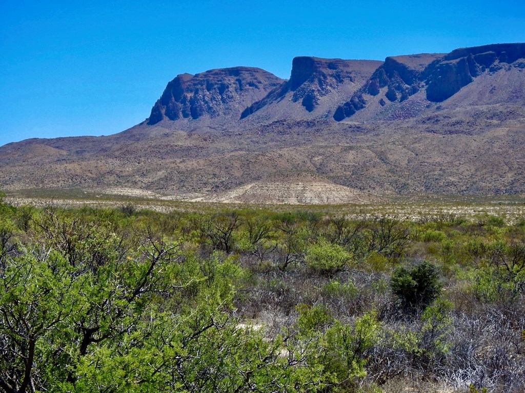 4803 Rattlesnake Rd, Terlingua, Texas image 15