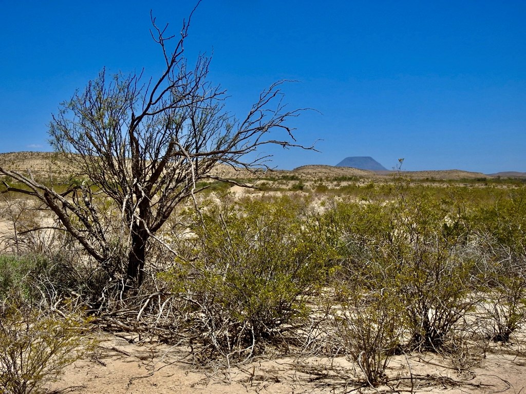 4803 Rattlesnake Rd, Terlingua, Texas image 21