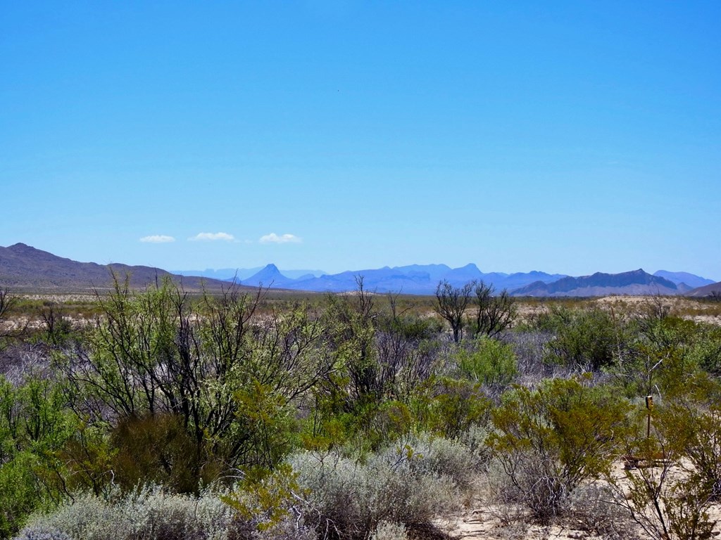 4803 Rattlesnake Rd, Terlingua, Texas image 18