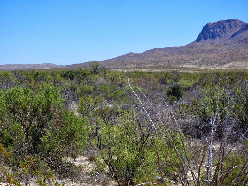 4803 Rattlesnake Rd, Terlingua, Texas image 19