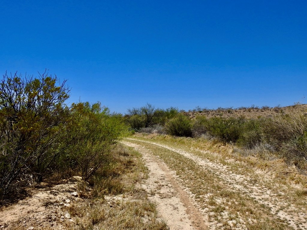 4803 Rattlesnake Rd, Terlingua, Texas image 7