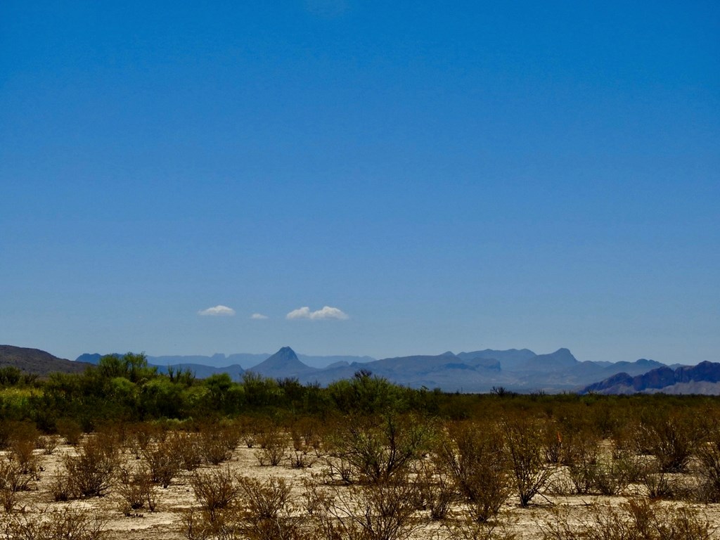 4803 Rattlesnake Rd, Terlingua, Texas image 24