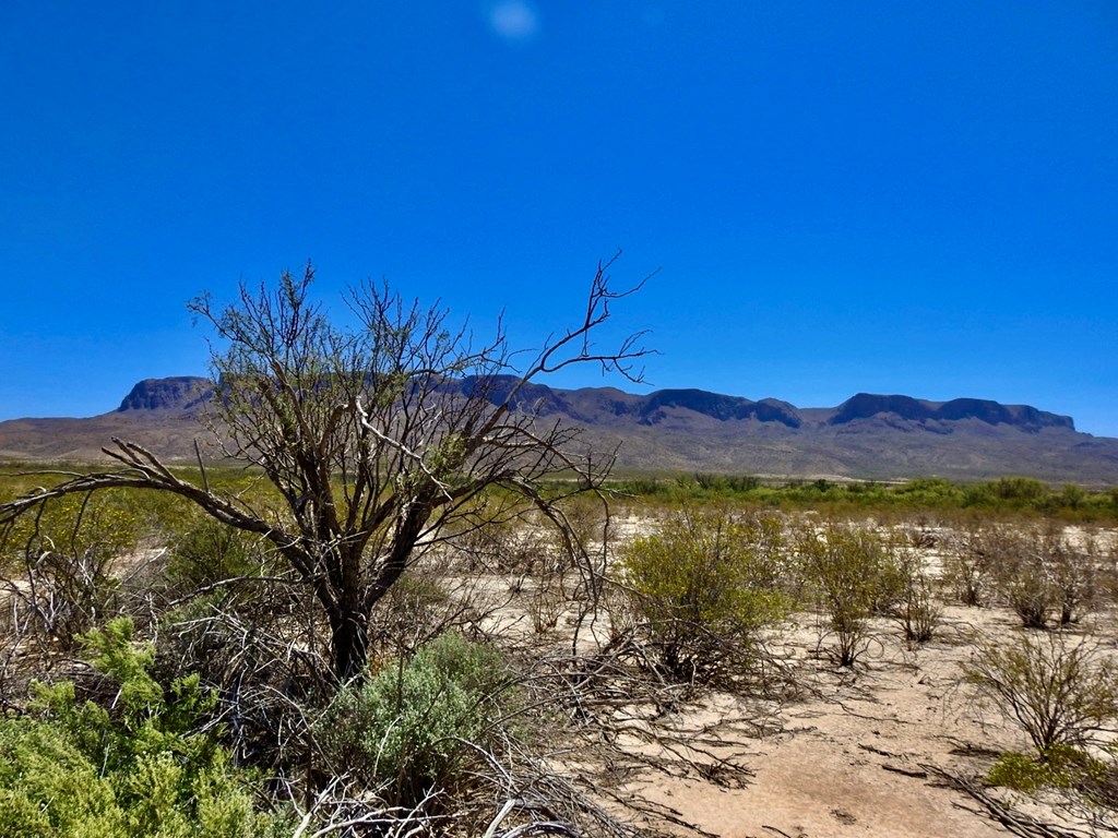 4803 Rattlesnake Rd, Terlingua, Texas image 26