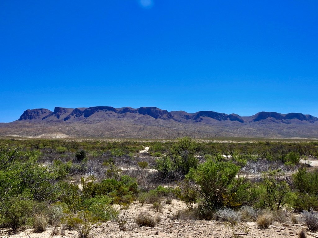 4803 Rattlesnake Rd, Terlingua, Texas image 16