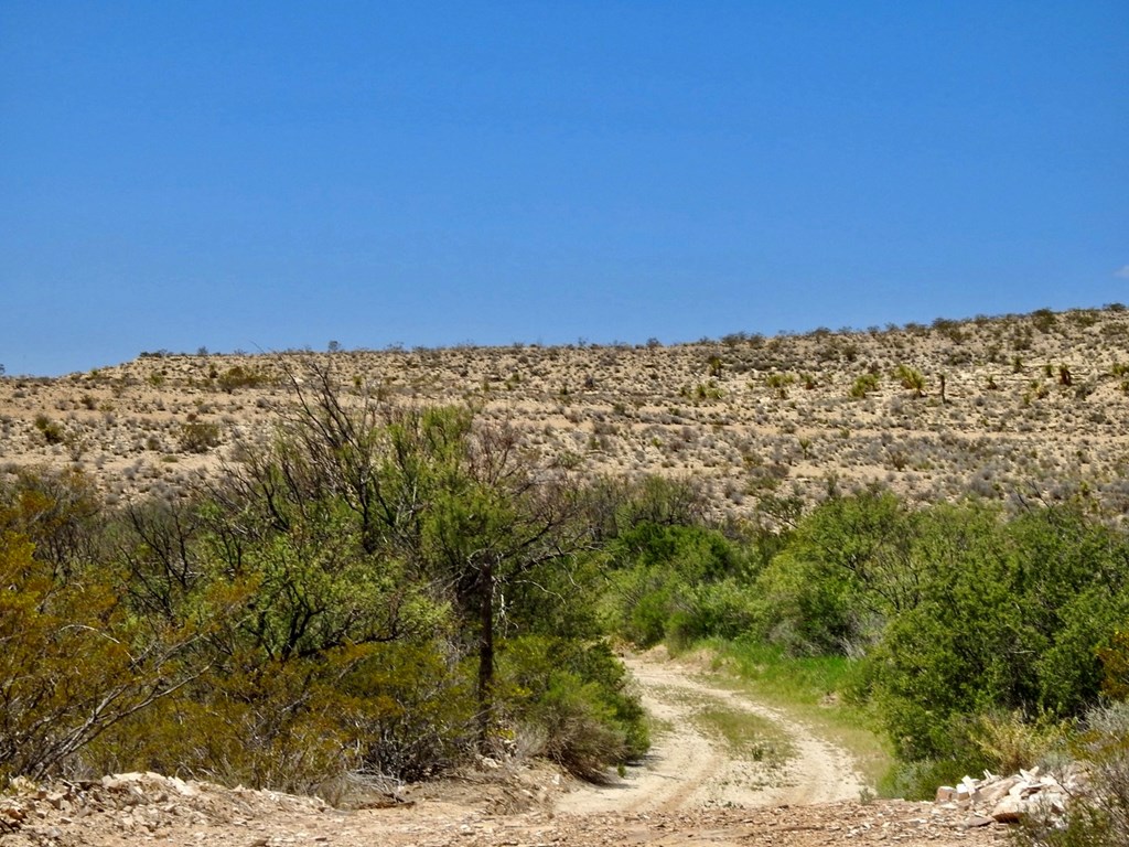 4803 Rattlesnake Rd, Terlingua, Texas image 3