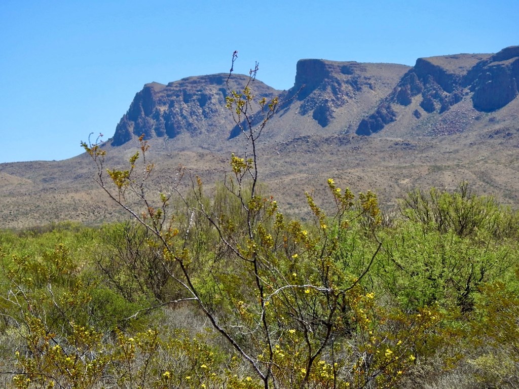 4803 Rattlesnake Rd, Terlingua, Texas image 12