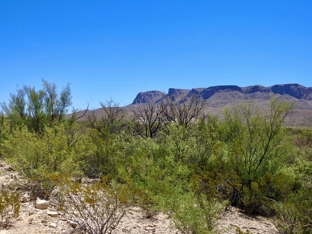 4803 Rattlesnake Rd, Terlingua, Texas image 6