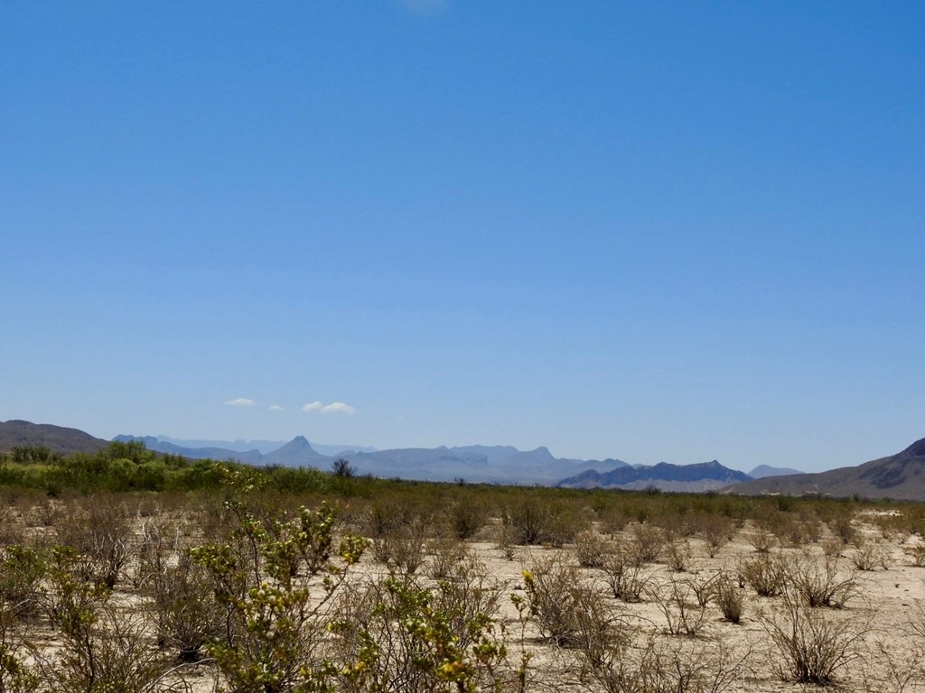 4803 Rattlesnake Rd, Terlingua, Texas image 25