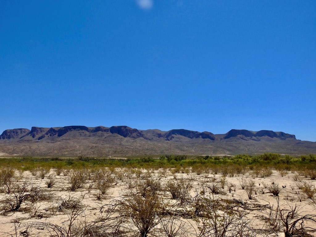 4803 Rattlesnake Rd, Terlingua, Texas image 23