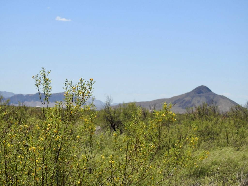 4803 Rattlesnake Rd, Terlingua, Texas image 5