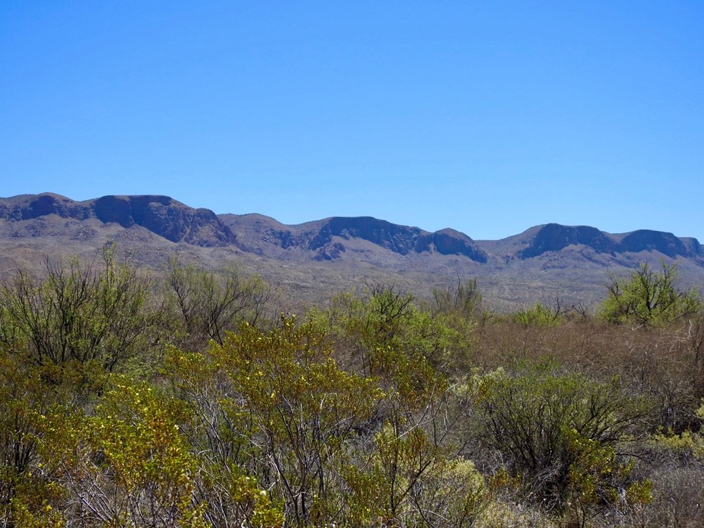 4803 Rattlesnake Rd, Terlingua, Texas image 13