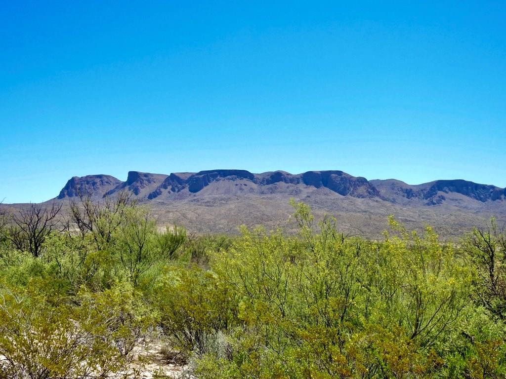 4803 Rattlesnake Rd, Terlingua, Texas image 1