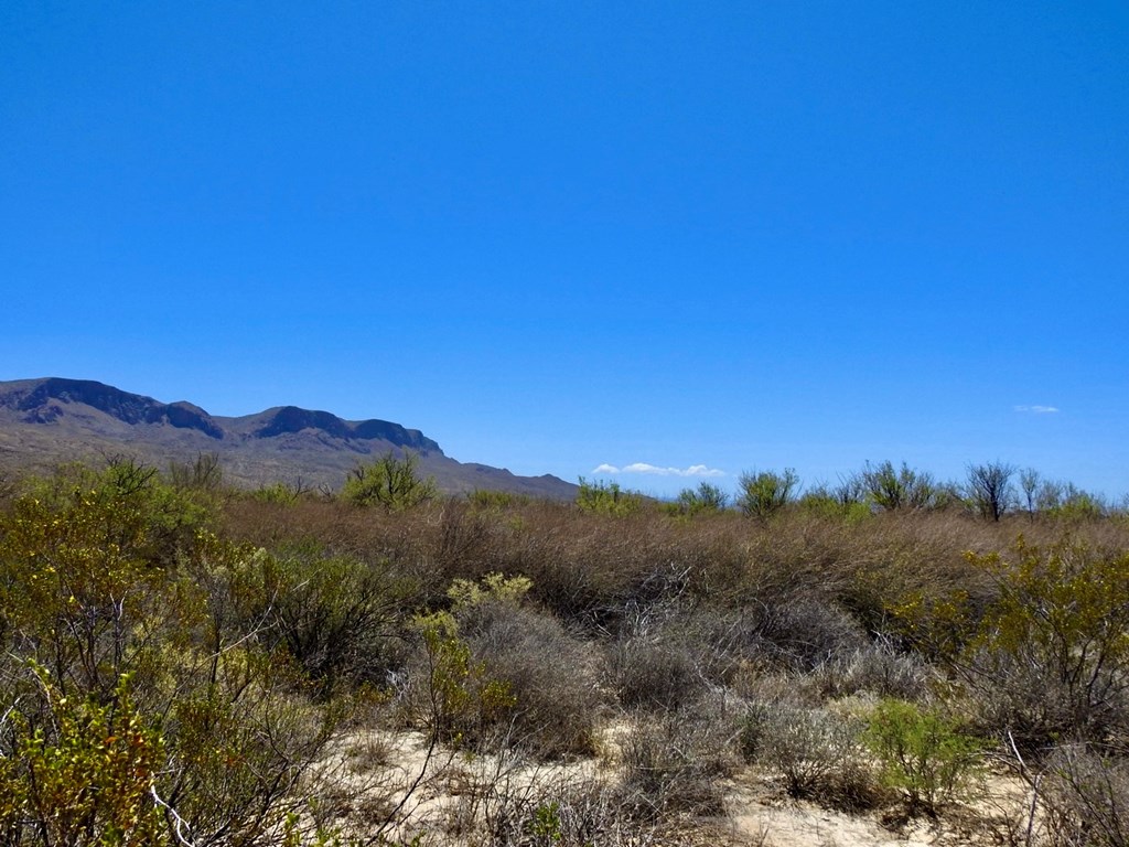 4803 Rattlesnake Rd, Terlingua, Texas image 11