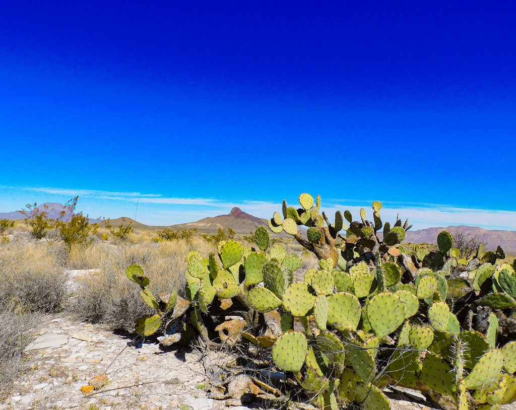 6695 Feldspar St, Terlingua, Texas image 4