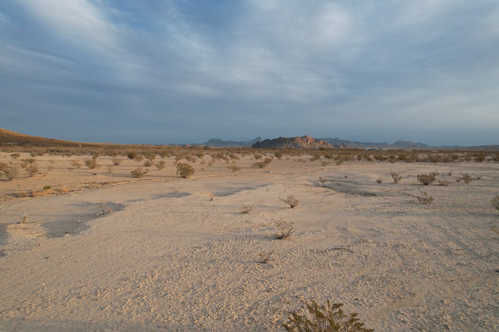 450 Bad Cactus Rd, Terlingua, Texas image 9