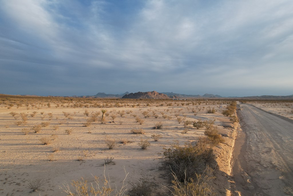 450 Bad Cactus Rd, Terlingua, Texas image 4