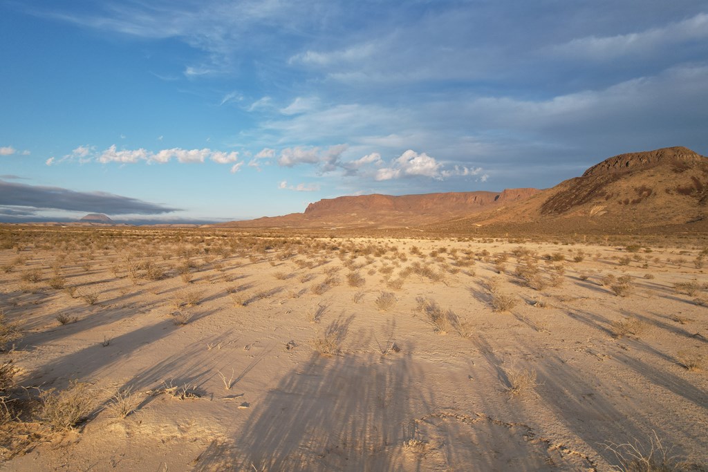 450 Bad Cactus Rd, Terlingua, Texas image 2