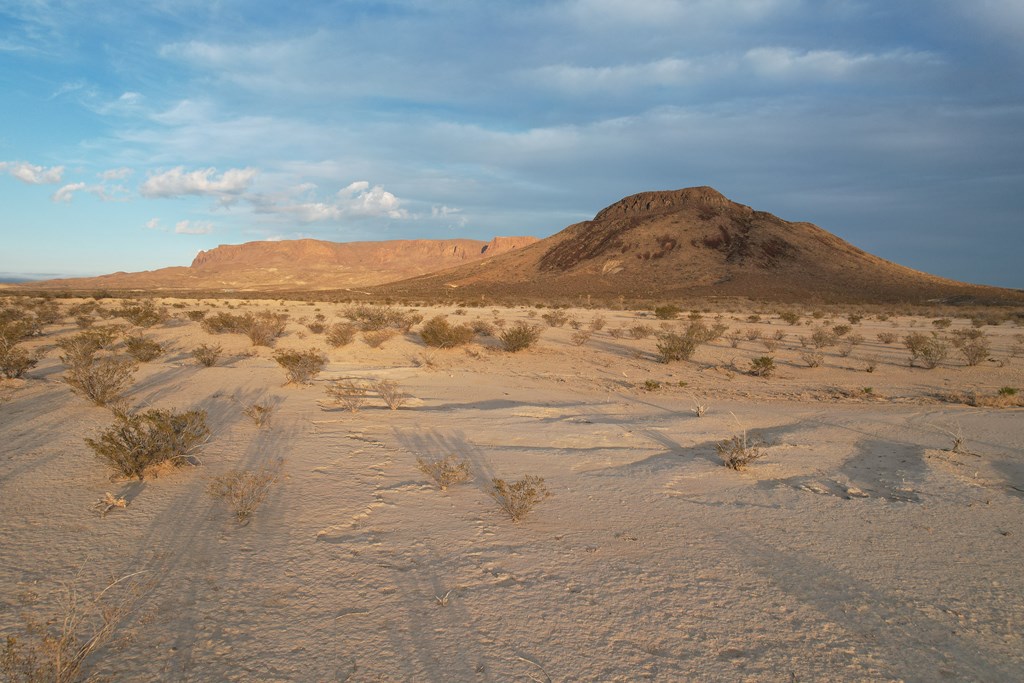 450 Bad Cactus Rd, Terlingua, Texas image 10