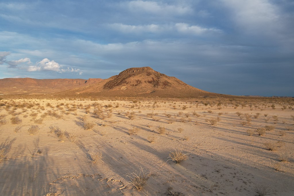 450 Bad Cactus Rd, Terlingua, Texas image 3