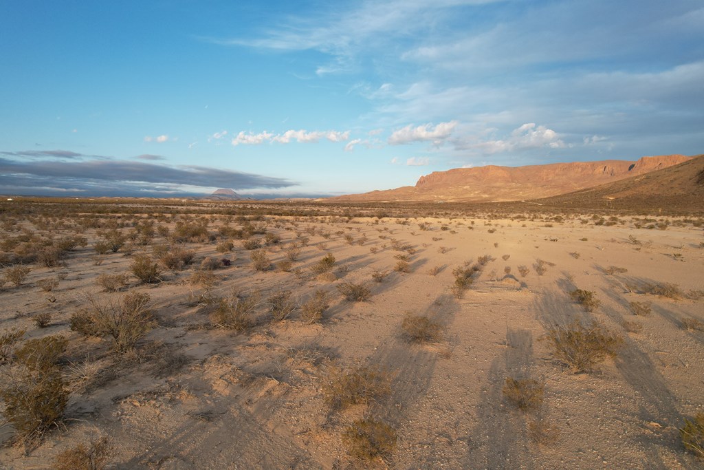 450 Bad Cactus Rd, Terlingua, Texas image 11