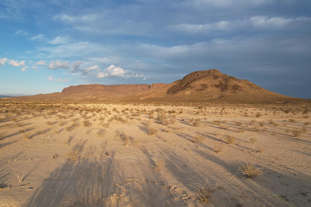 450 Bad Cactus Rd, Terlingua, Texas image 1