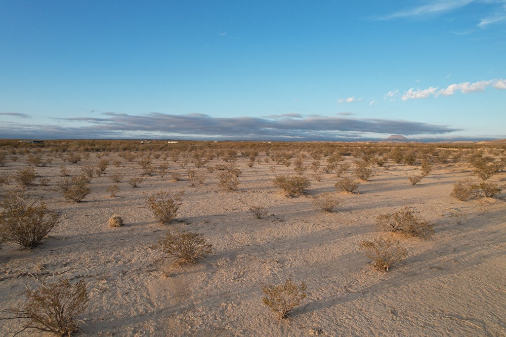 450 Bad Cactus Rd, Terlingua, Texas image 6